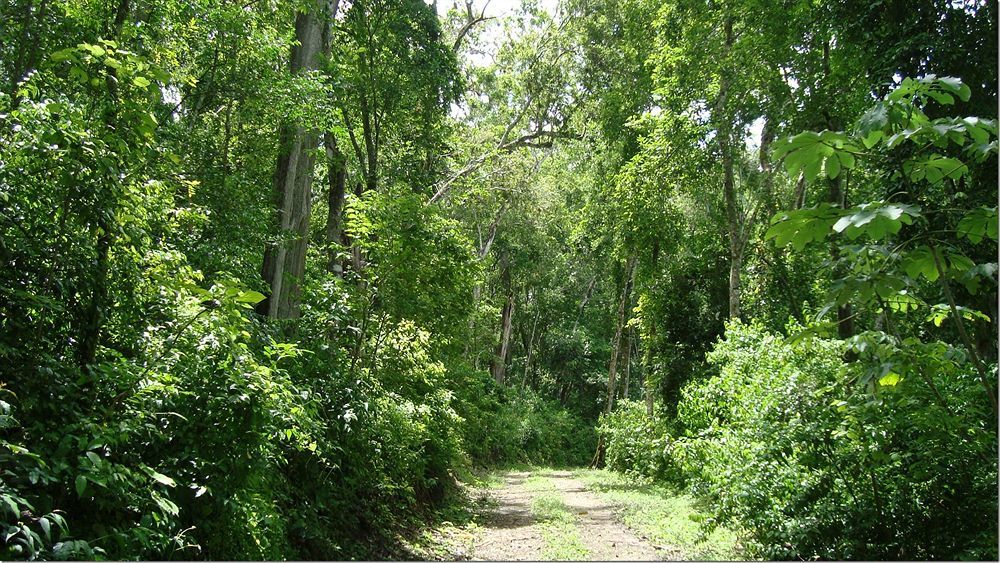 אל רמאטה Maya Zac Peten Jungle Lodge מראה חיצוני תמונה