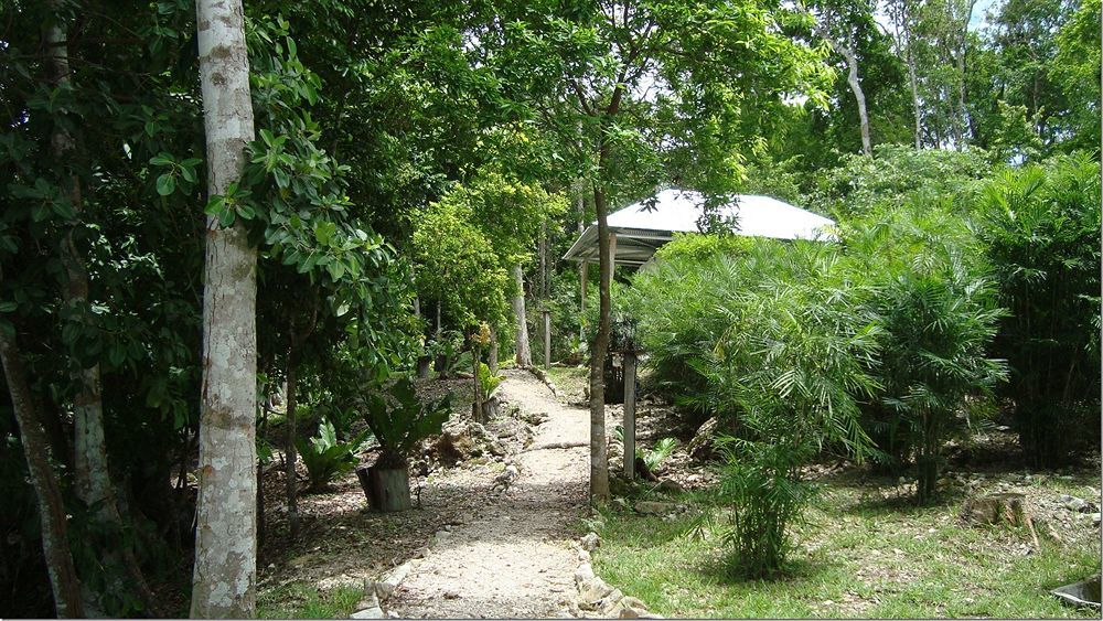 אל רמאטה Maya Zac Peten Jungle Lodge מראה חיצוני תמונה