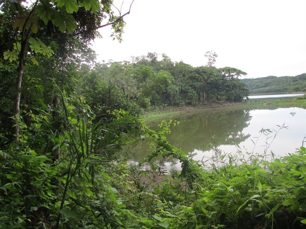 אל רמאטה Maya Zac Peten Jungle Lodge מראה חיצוני תמונה