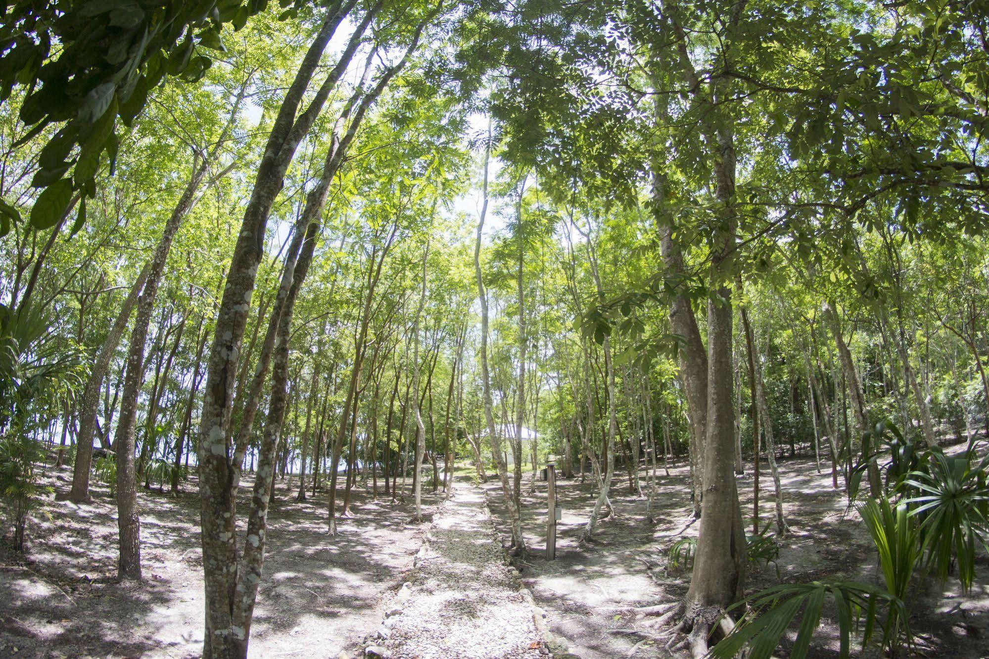 אל רמאטה Maya Zac Peten Jungle Lodge מראה חיצוני תמונה